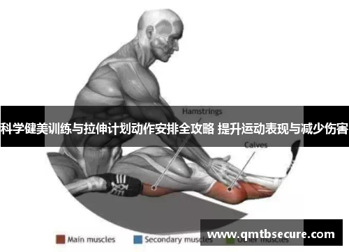 科学健美训练与拉伸计划动作安排全攻略 提升运动表现与减少伤害