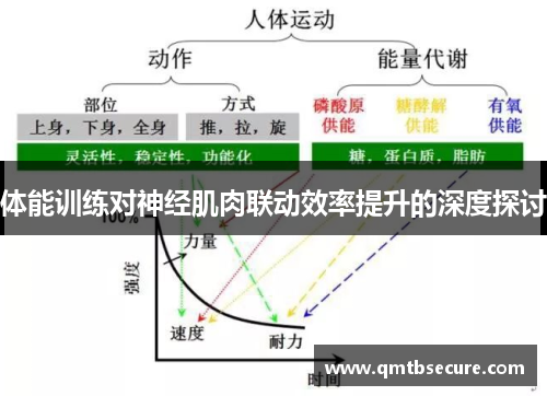 体能训练对神经肌肉联动效率提升的深度探讨